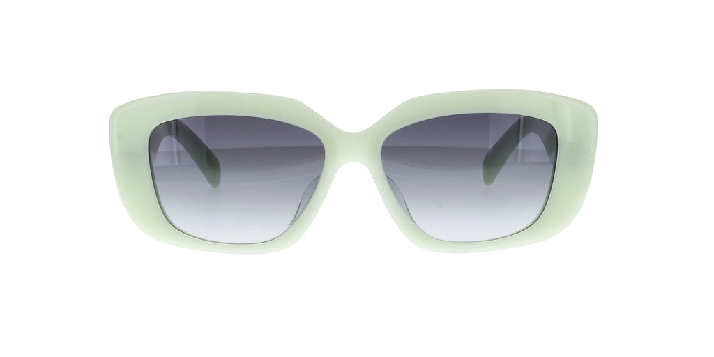 CELINE Triomphe CL40216U Square
